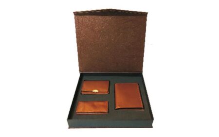 ست مدیریتی تبلیغاتی N517