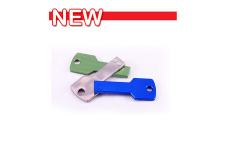 فلش مموری تبلیغاتی کلیدی ۳۱۰ ۸G