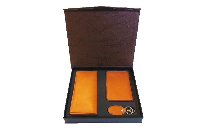 ست مدیریتی تبلیغاتی N523