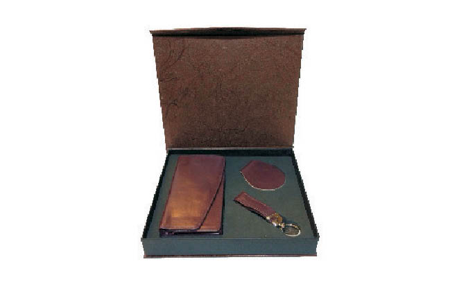 ست مدیریتی تبلیغاتی N539